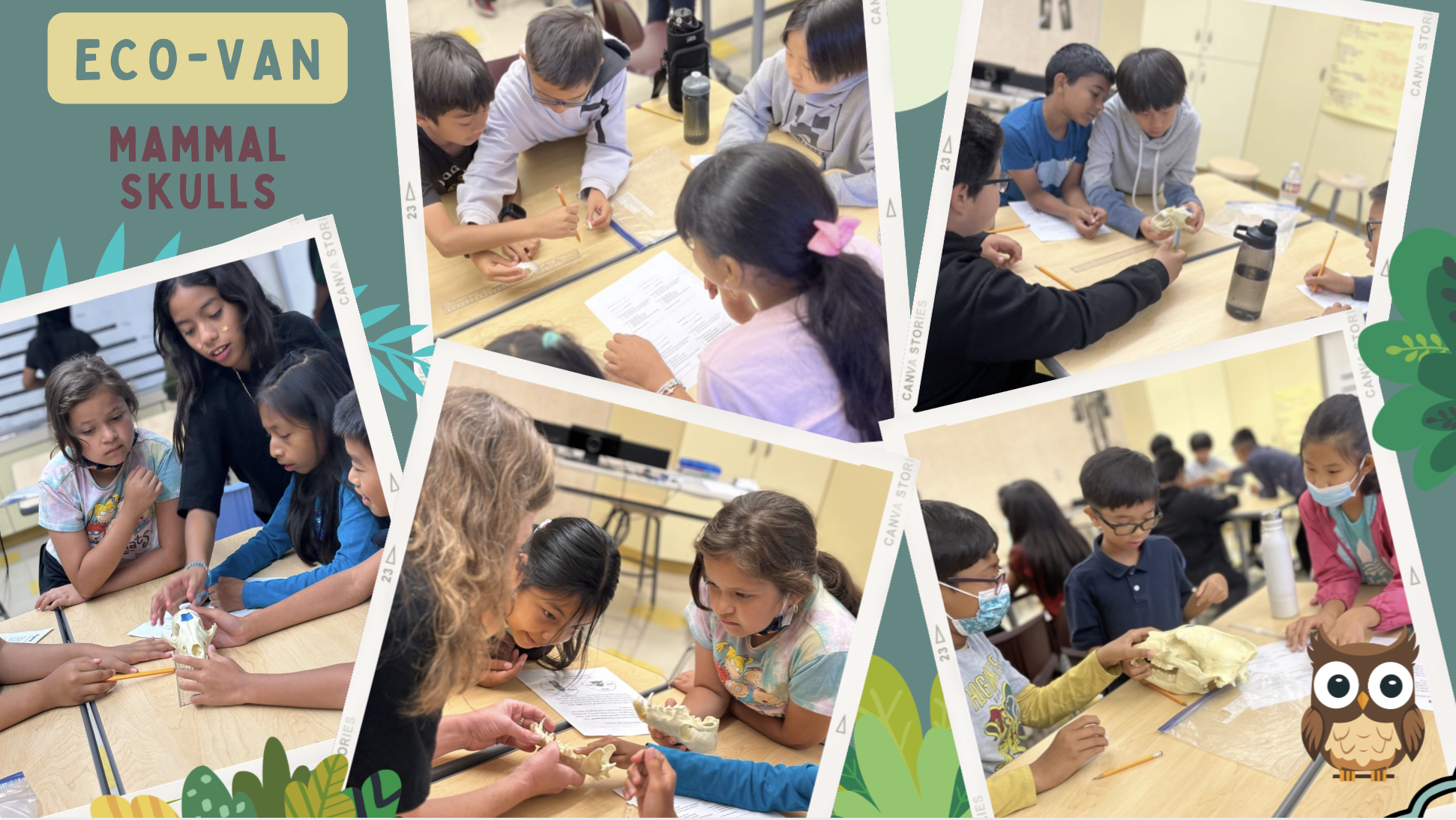 Eco-Van: Skyhook Eco-Van Program – School Programs – Dr. Sammy Lee ...