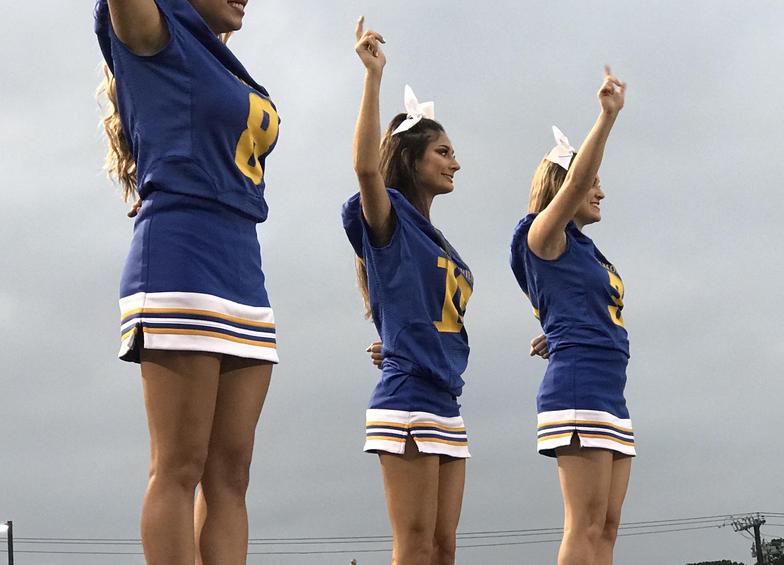 Bbw ass pantyhose pics