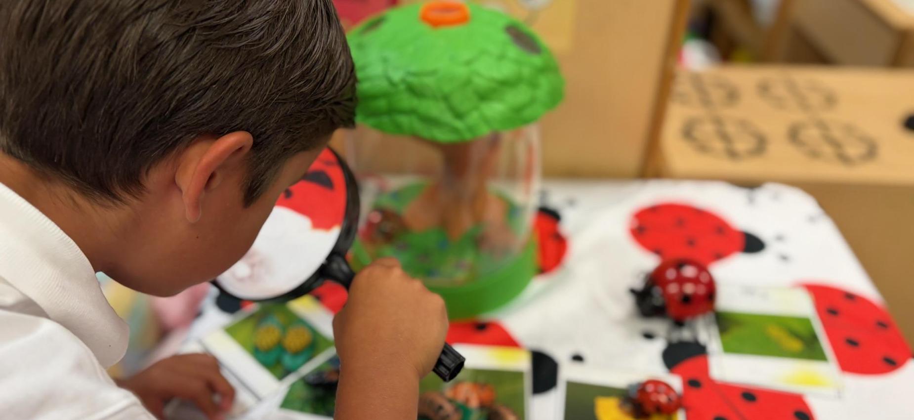 Tk students uses microscope to observe ladybug life cycle