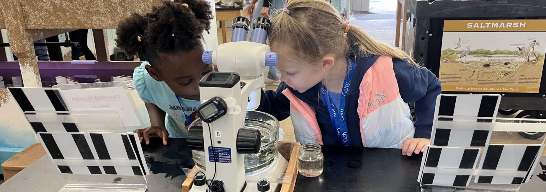 Student looking into a microscope