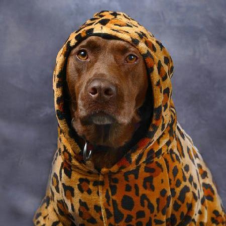 JORDANTAYLOR's Profile Photo