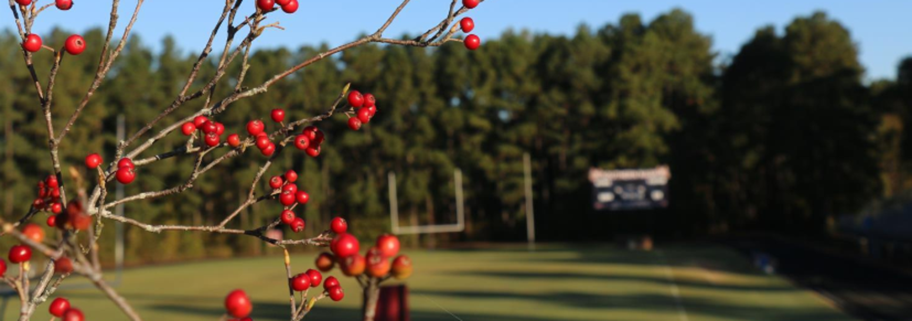 Football Field
