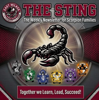 The Sting newsletter graphic with a scorpion as the focus.