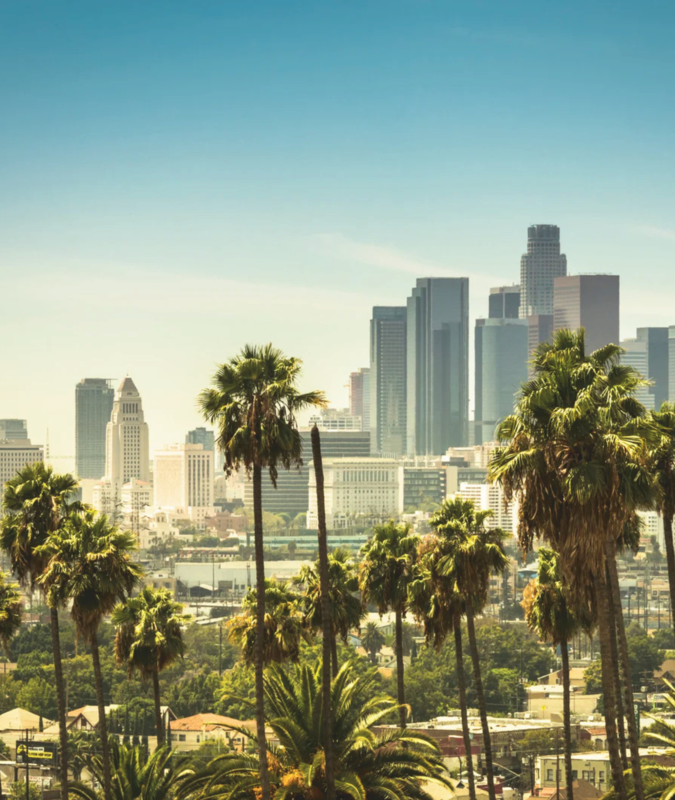 LA Skyline