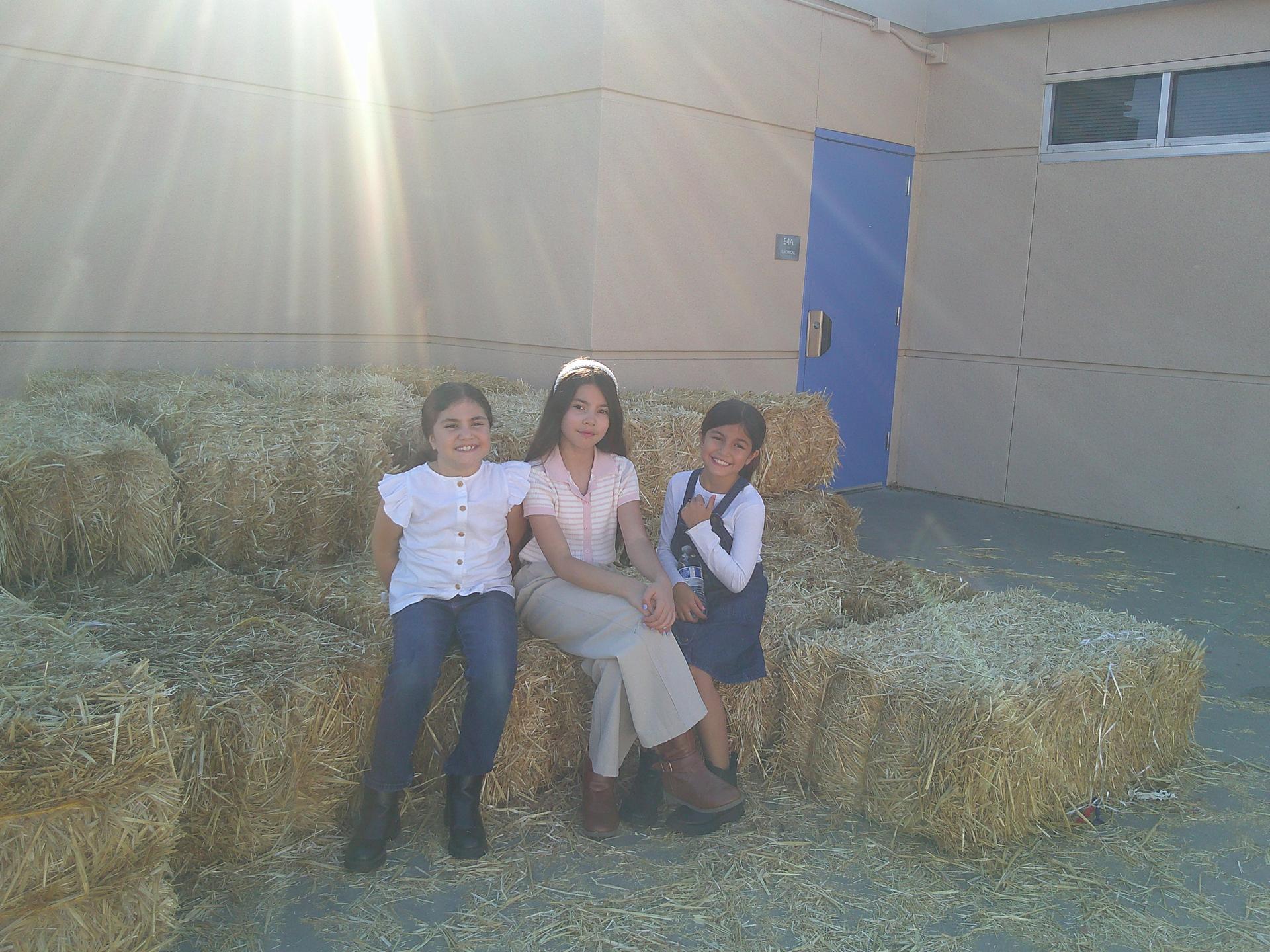 Harvest Festival