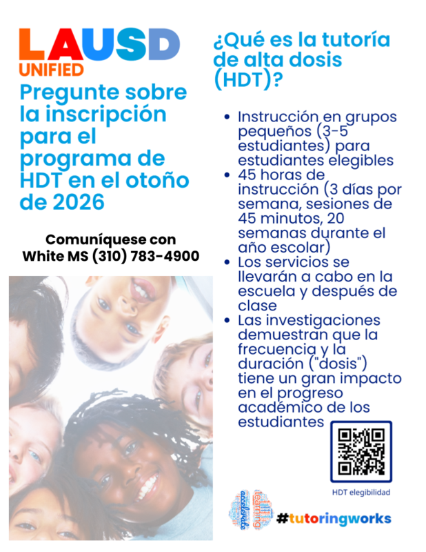La tutoría de alto dosis