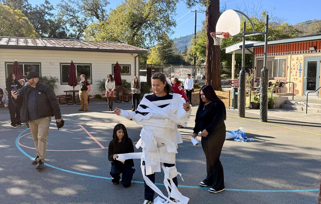toilet paper mummy
