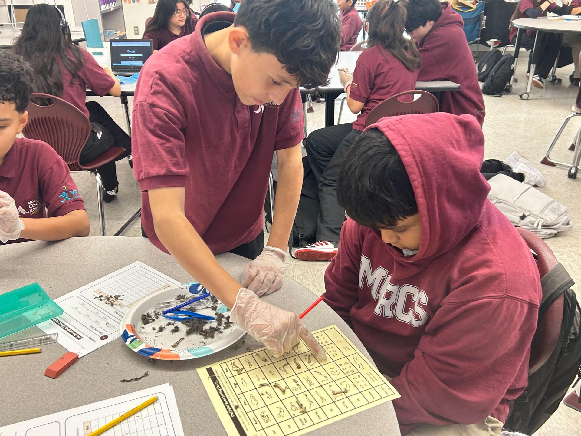 Students doing hand on science activity