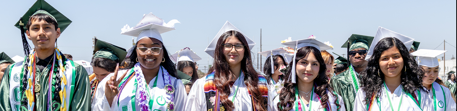 A group of five high school graduates standing in a row wearing caps and gowns