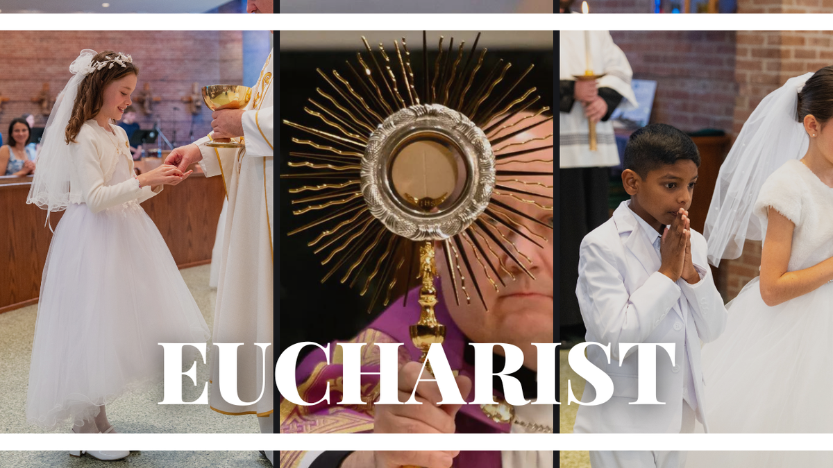 First Reconciliation & First Eucharist – Family Discipleship – Our Lady ...