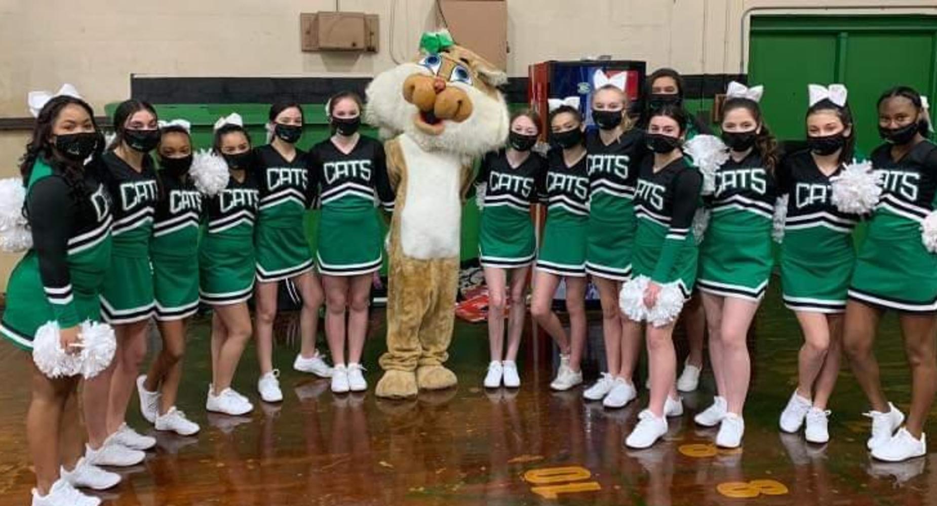 BOBcaTS