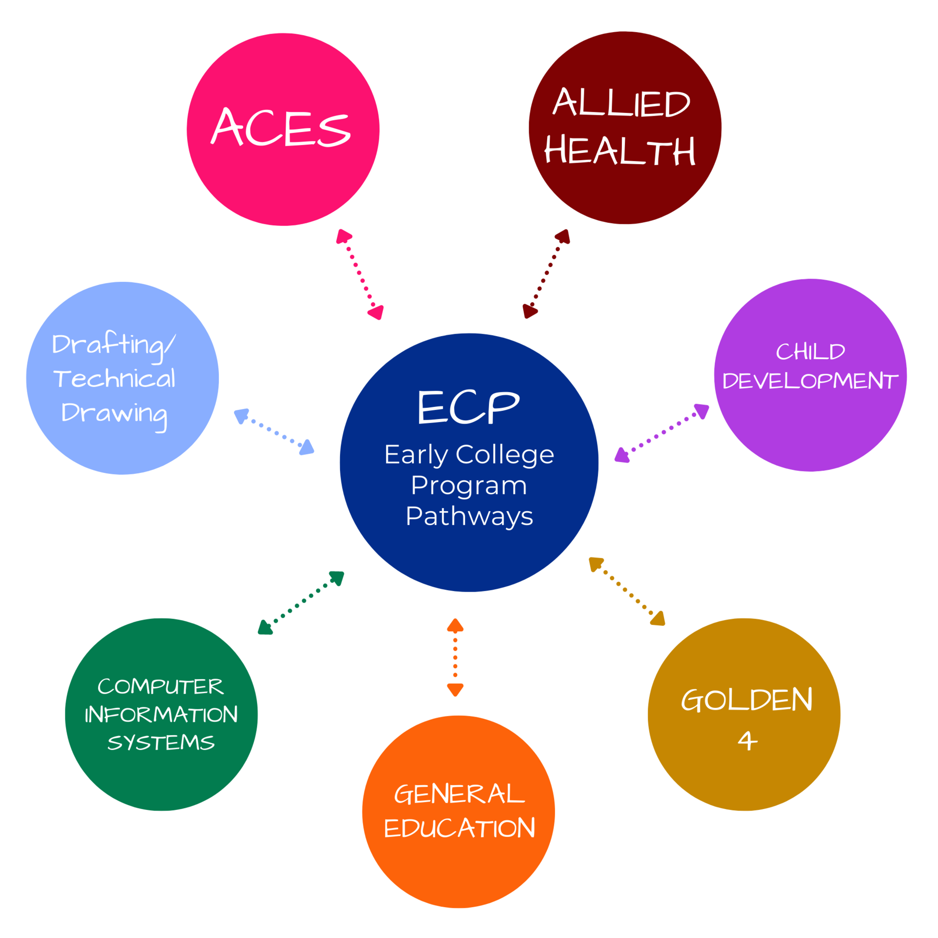 Pathway Options Graphic