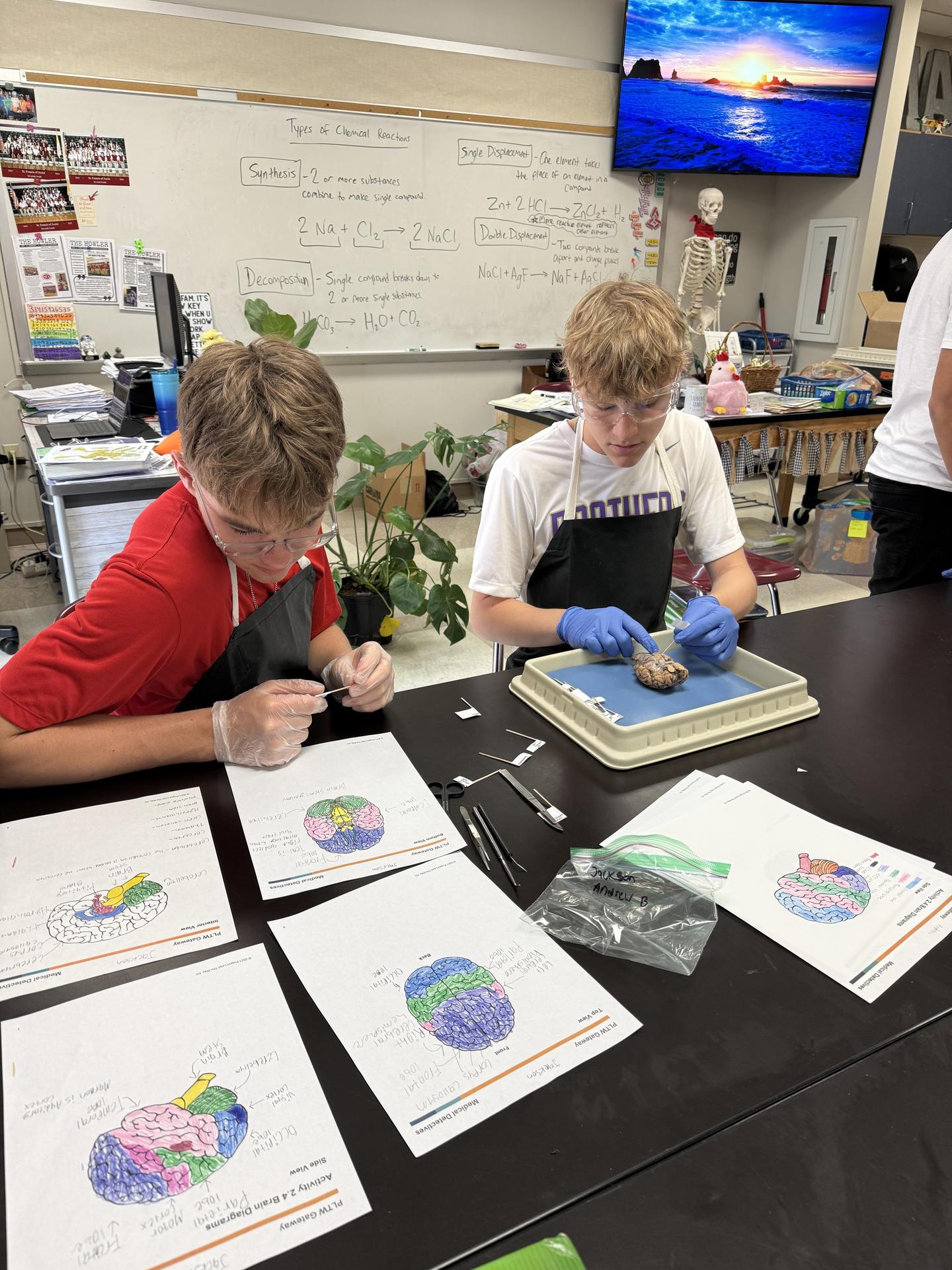 medical detectives