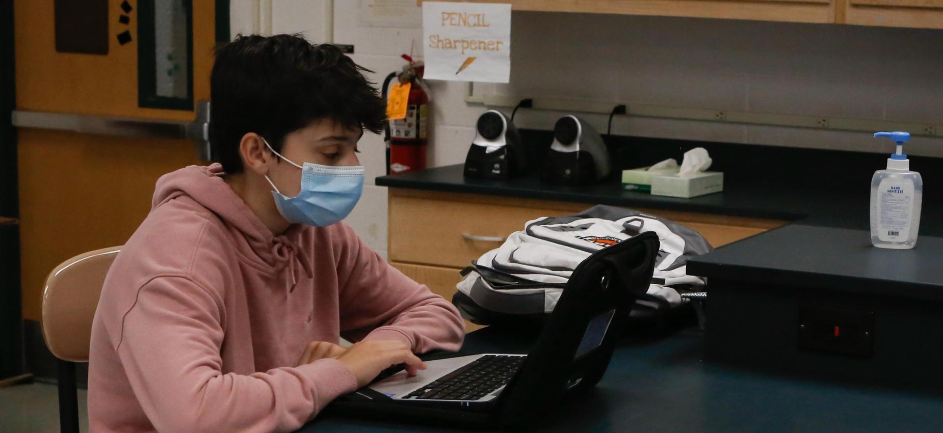 pandemic learning