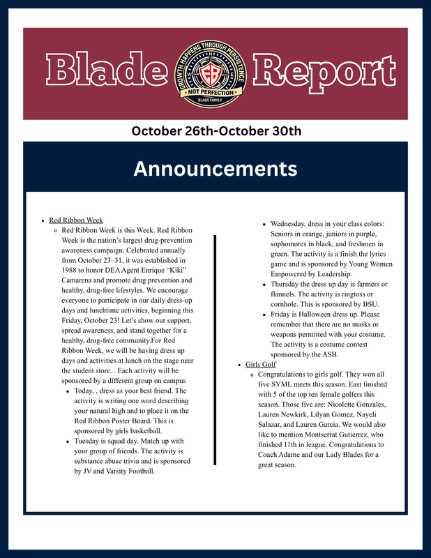 blade report