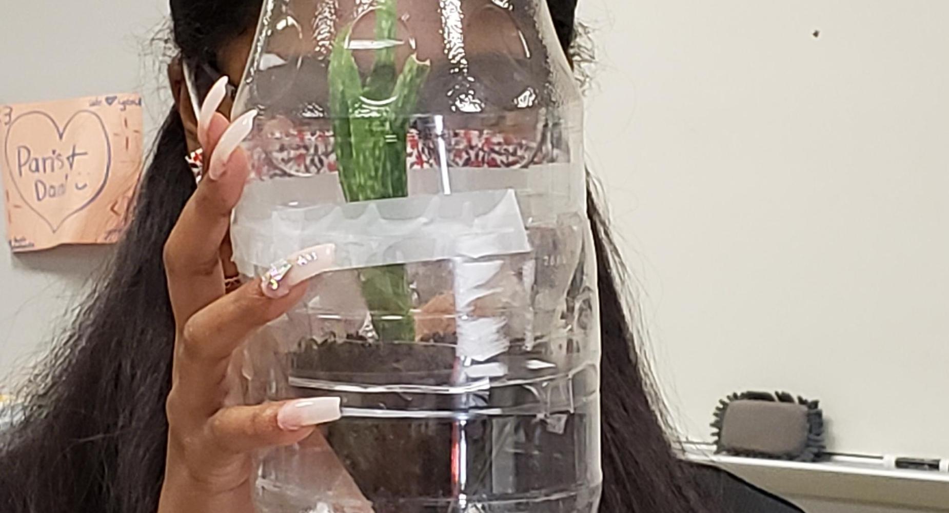Environmental Science students build biomes