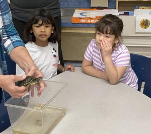 Turtle Tuesday @ Learning Alive