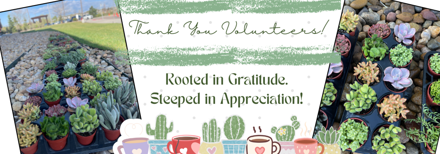Succulent garden with a thank you message for volunteers.