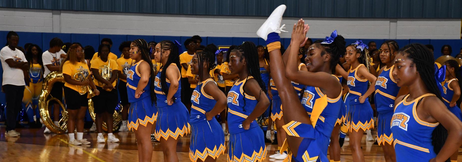 NMS Cheer