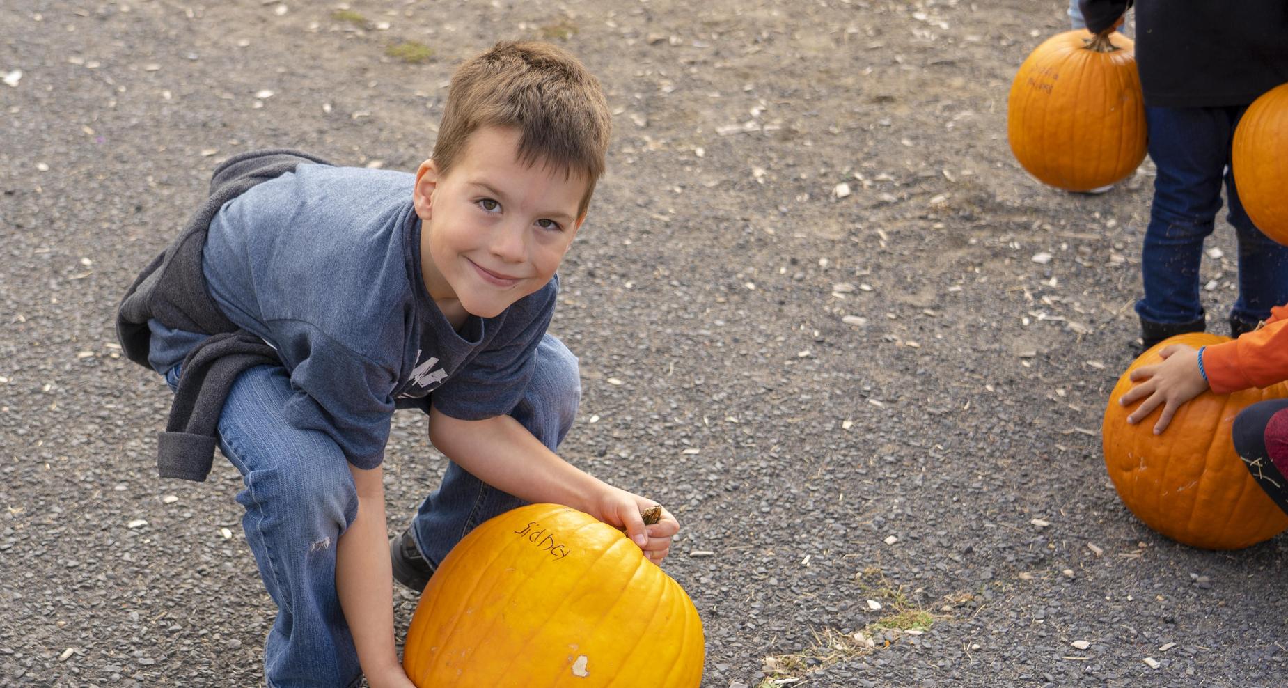 pumpkin