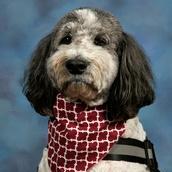 RubyDancy's Profile Photo