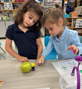 Two kindergarten girls measure the height of an apple with counting blocks.