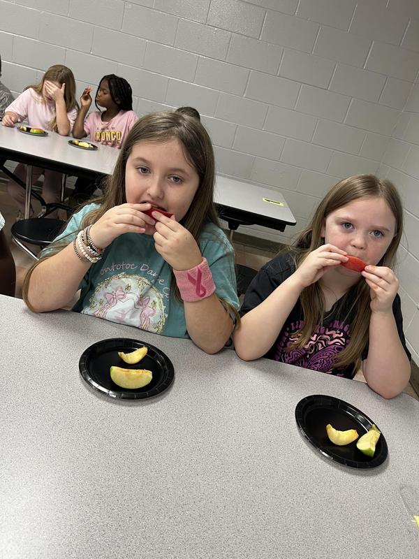 Apple Tasting Graph