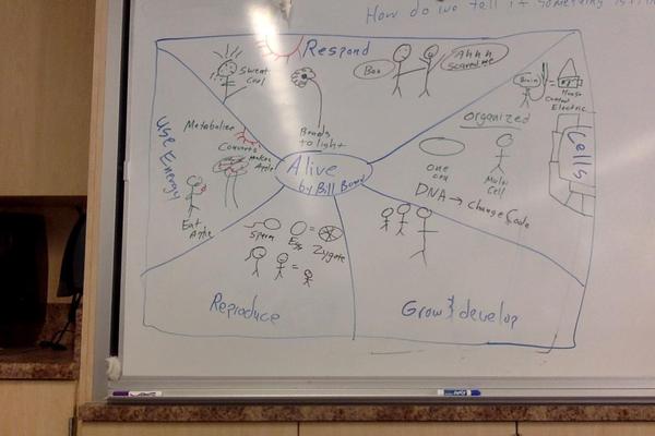 Photo on 9-24-19 at 12.07 PM.jpg