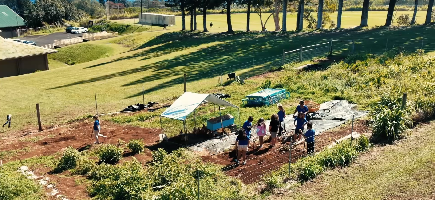 LCPCS school garden