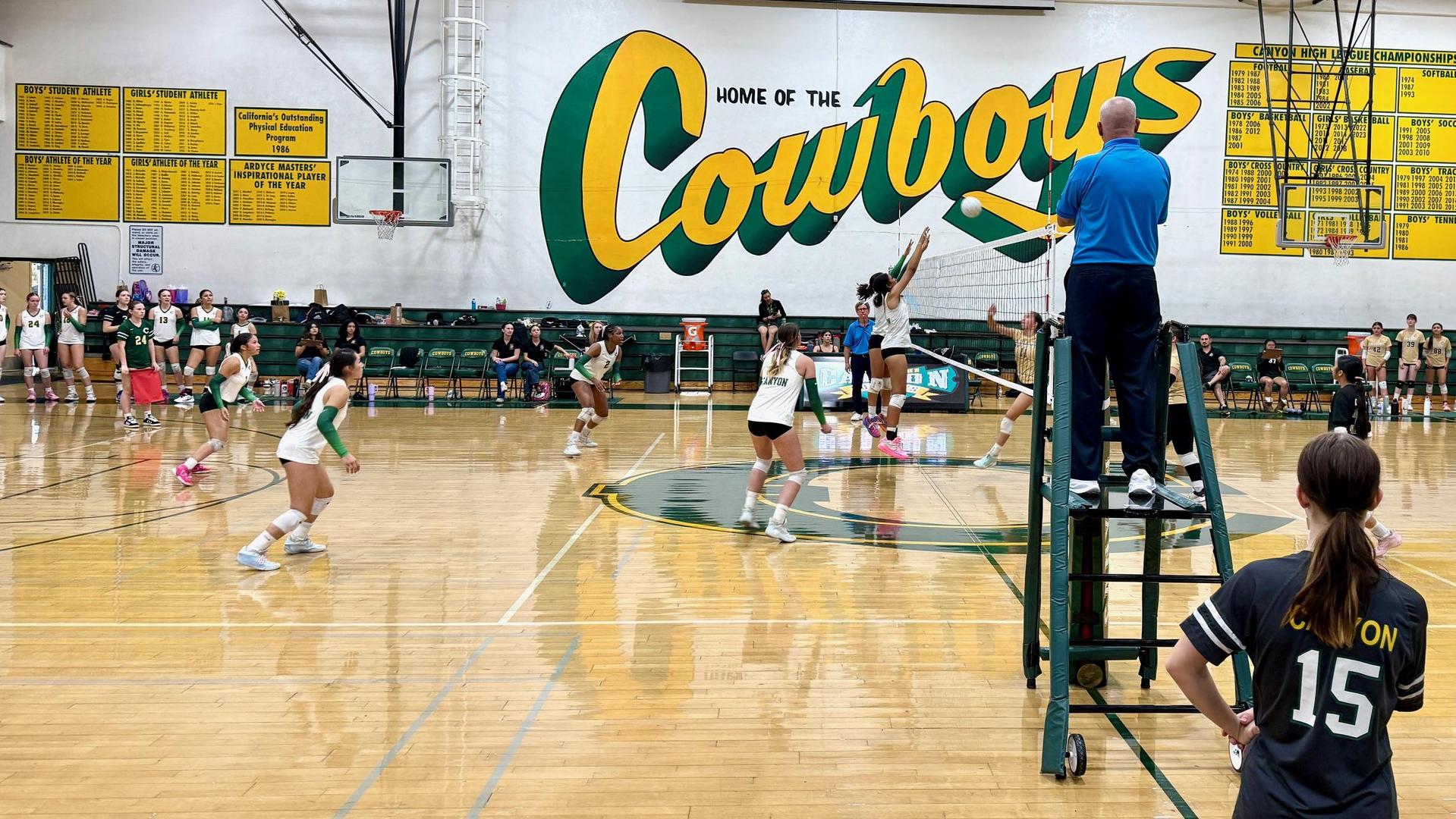 volleyball