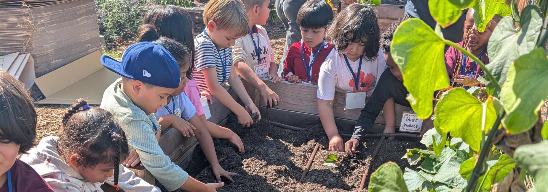 Garden Day