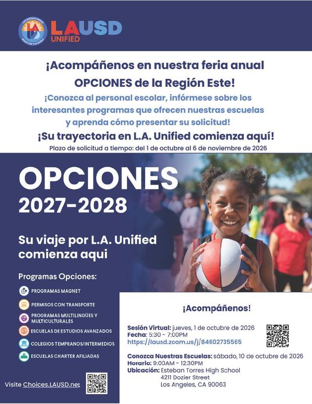 Flyer For Choices Event Spanish