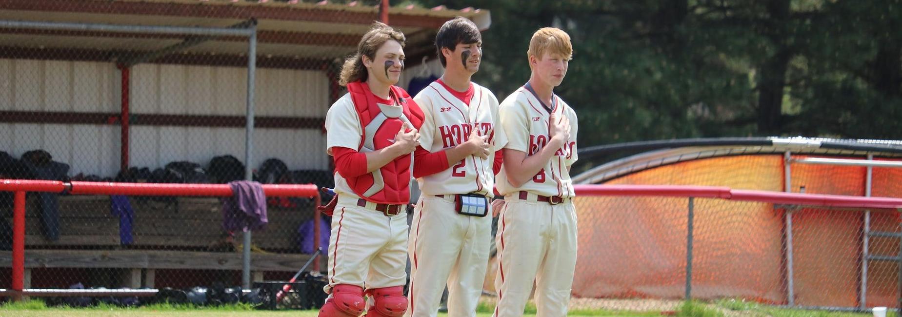 Horatio School District