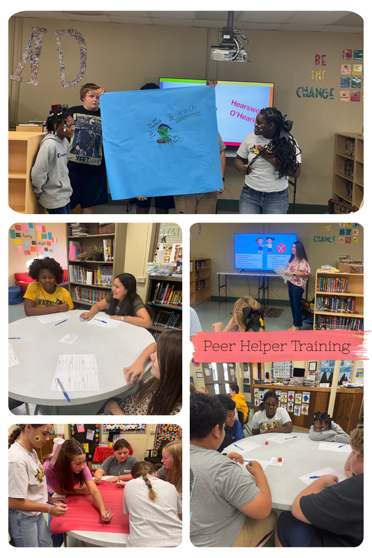 Peer Helper training