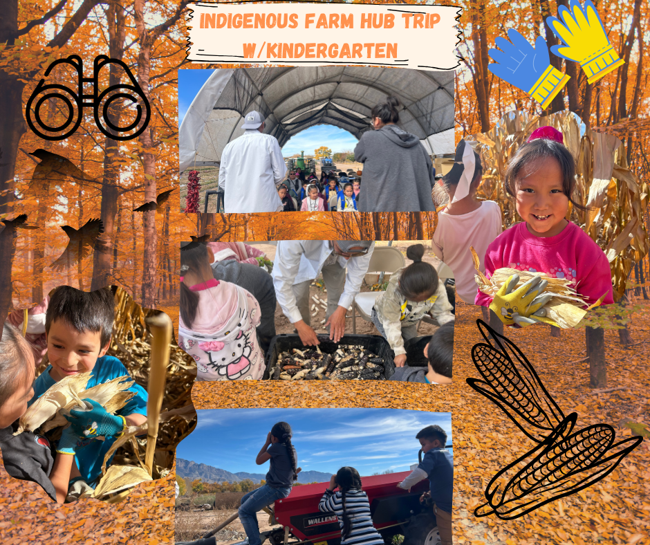 Land-Based Healing & Learning – What We Teach – Native American ...