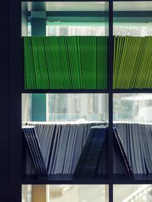 Colorful binders neatly arranged in a modern glass shelf.