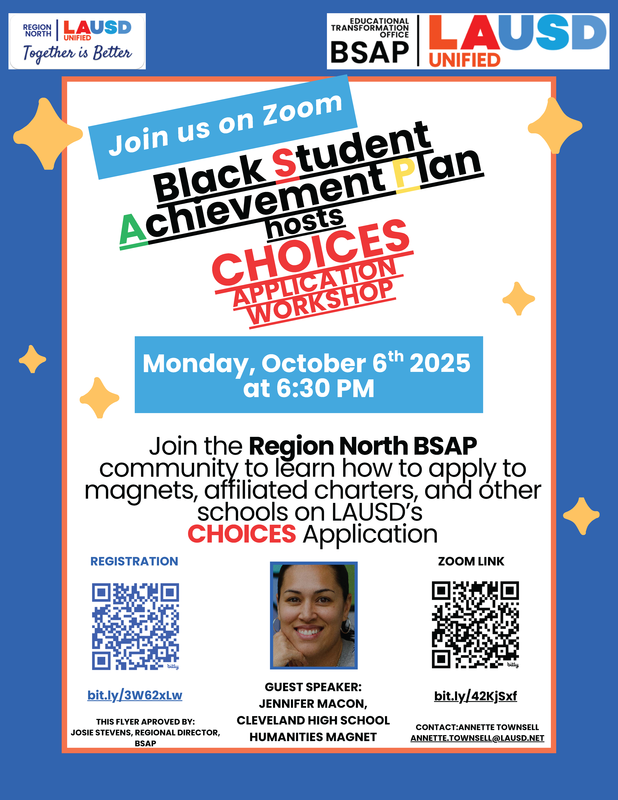 BSAP Choices Application Workshop