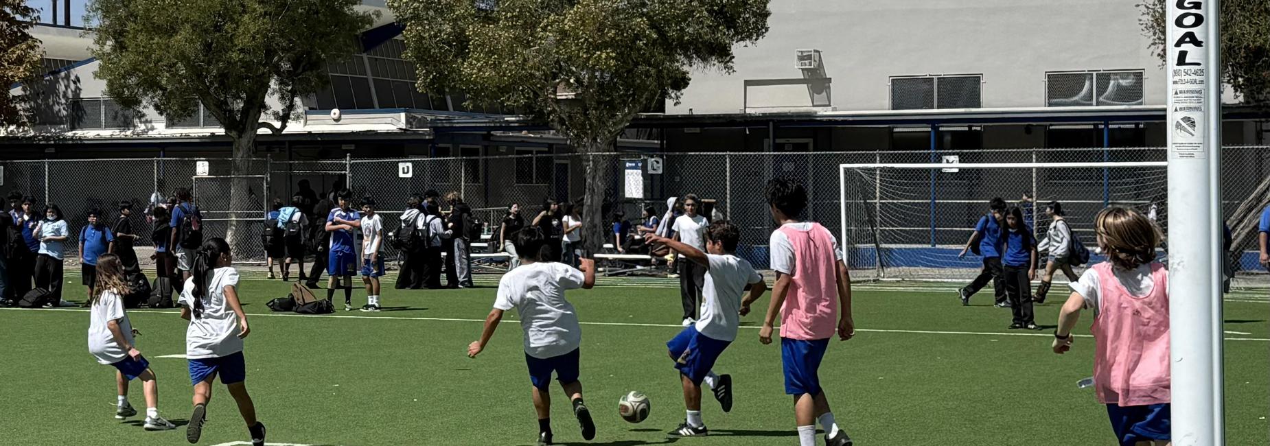 Sports 2