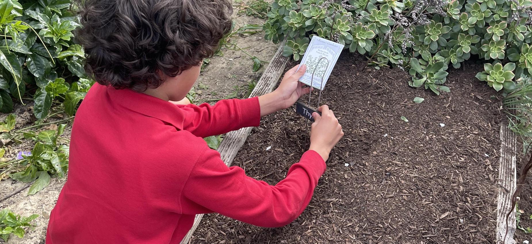 3rd-grade scientists nurture our school garden.
