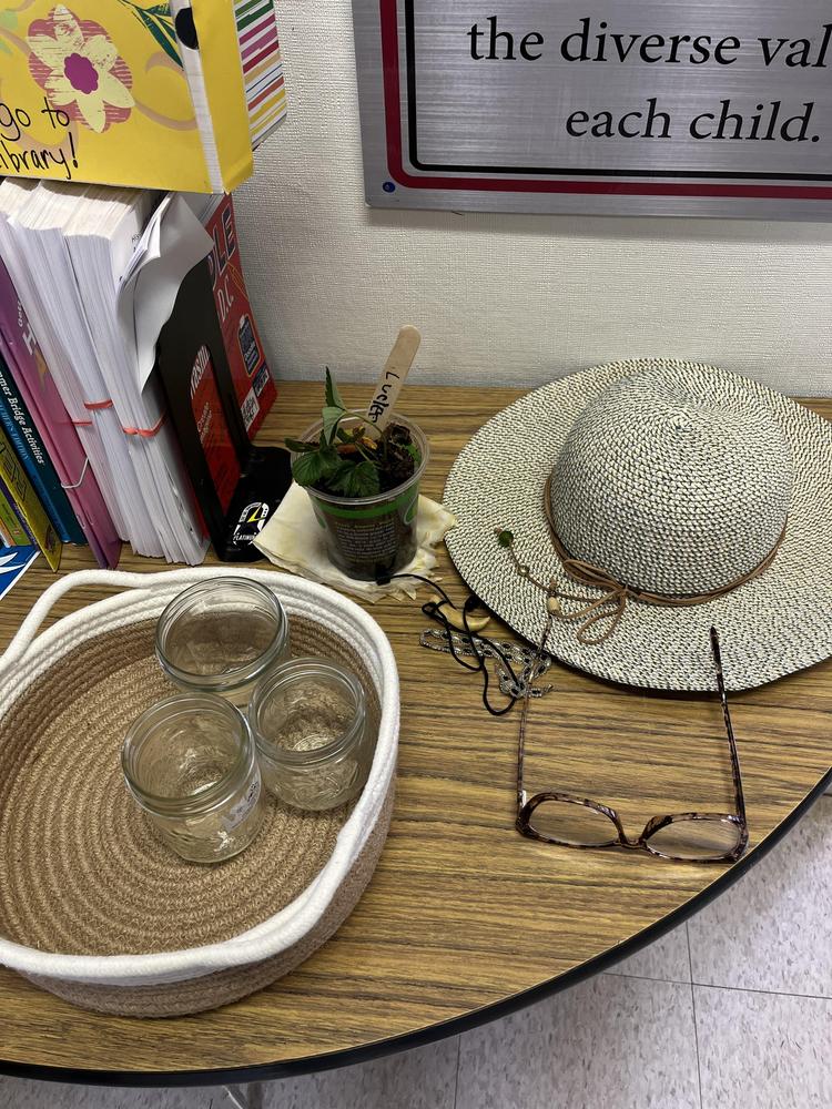 lost and found
