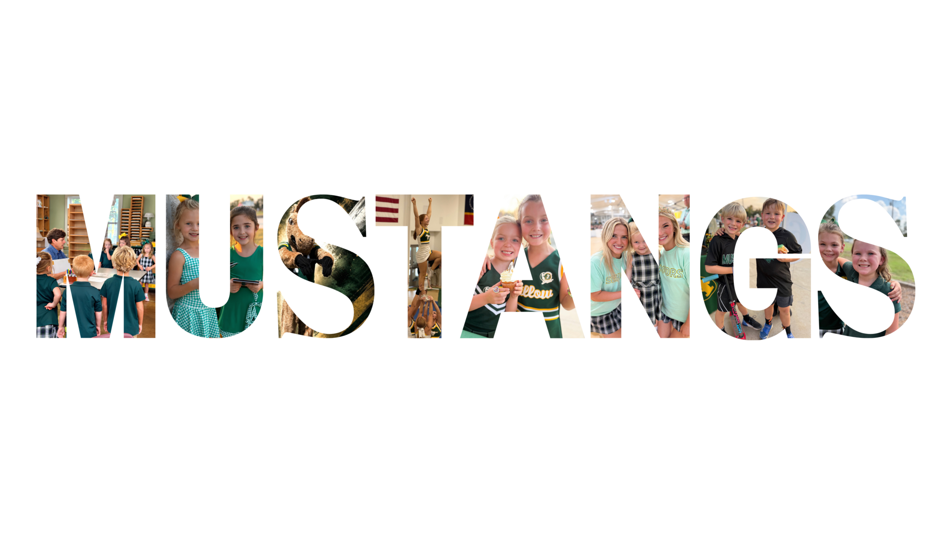 mustangs