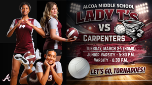 Volleyball Game Home