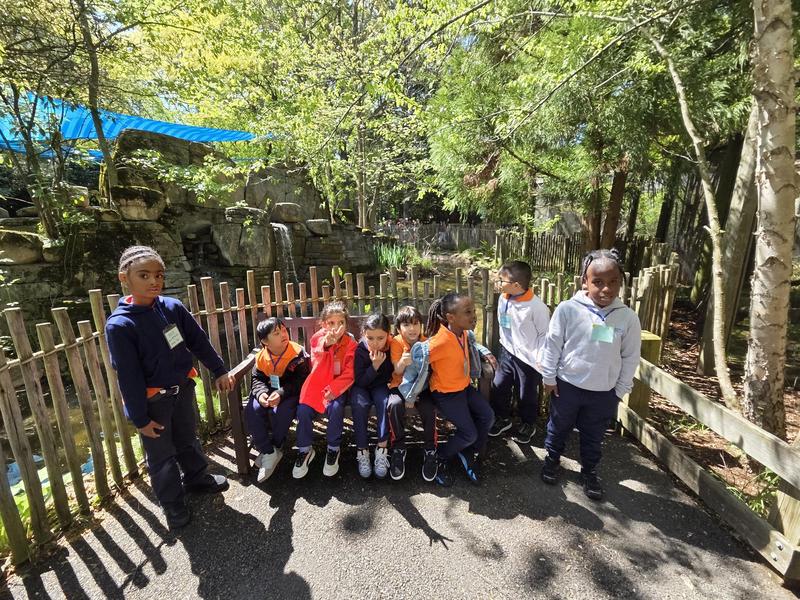 Kindergarten Field Trip to Bergen County Zoo Featured Photo