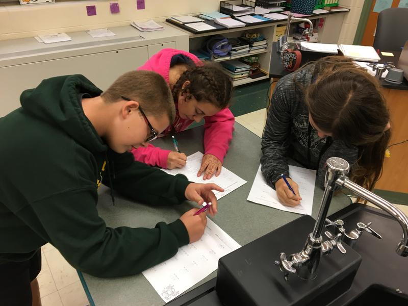 PreAlgebra MS 3