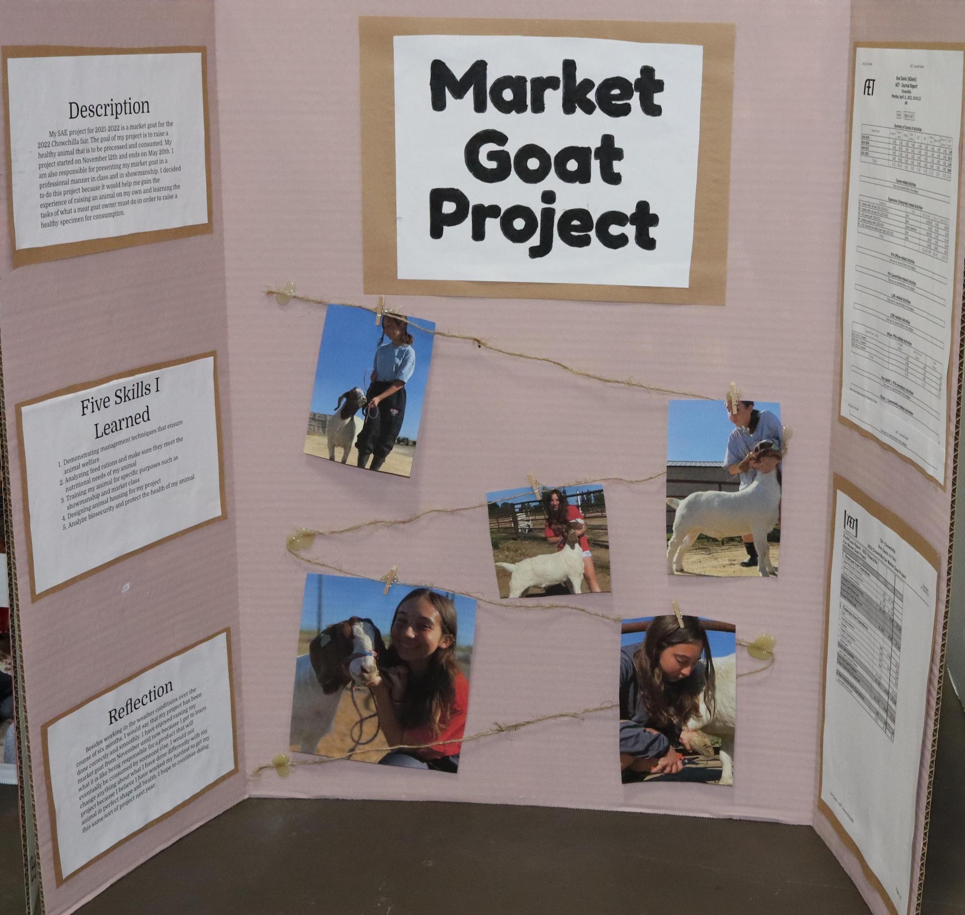 A Supervised Agricultural Experience trifold display