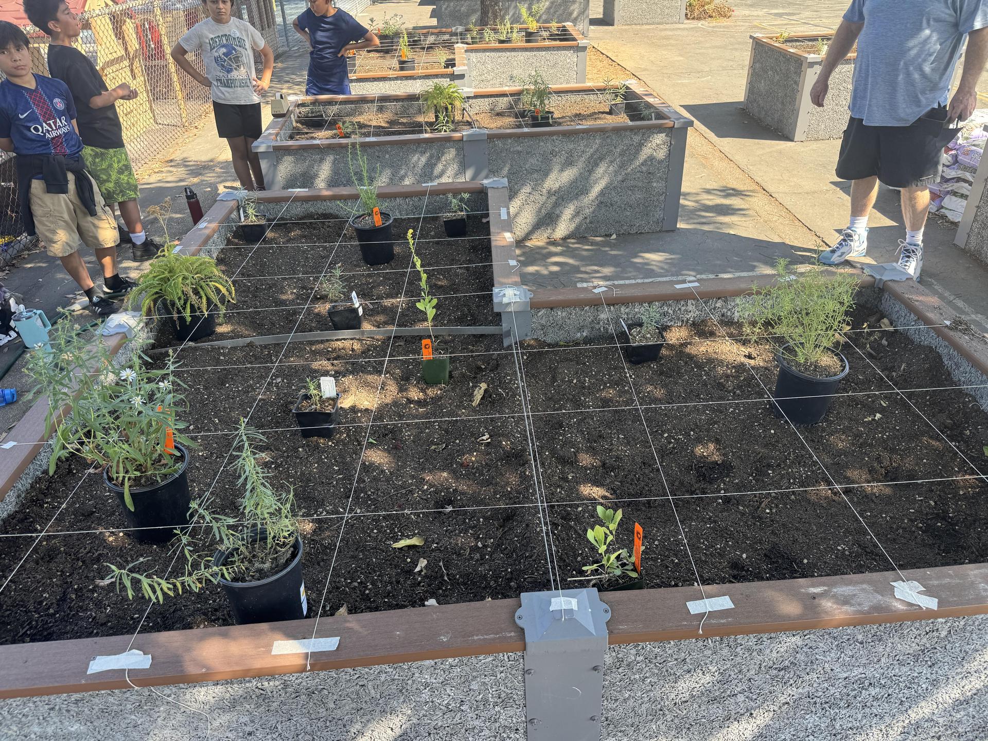 Lorne's Monarch Butterfly Sanctuary Garden