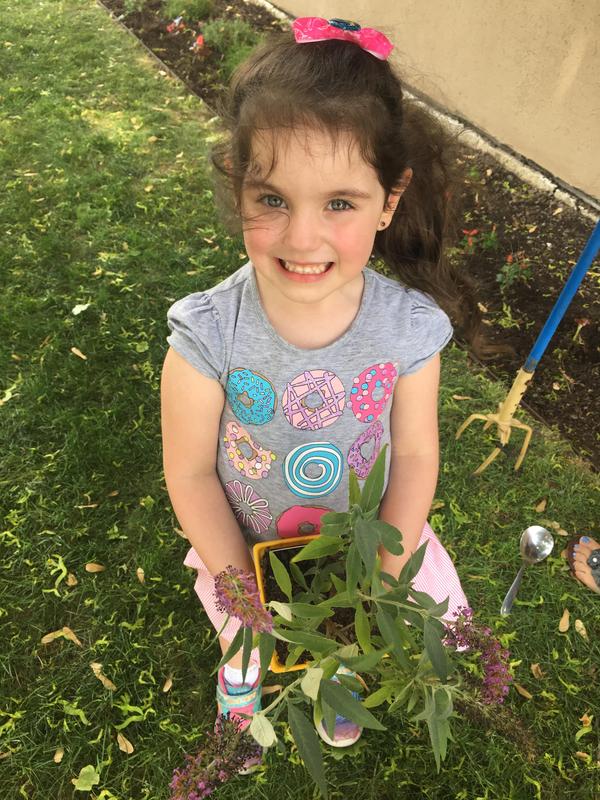 Butterfly Garden Planting for Green Schools Featured Photo