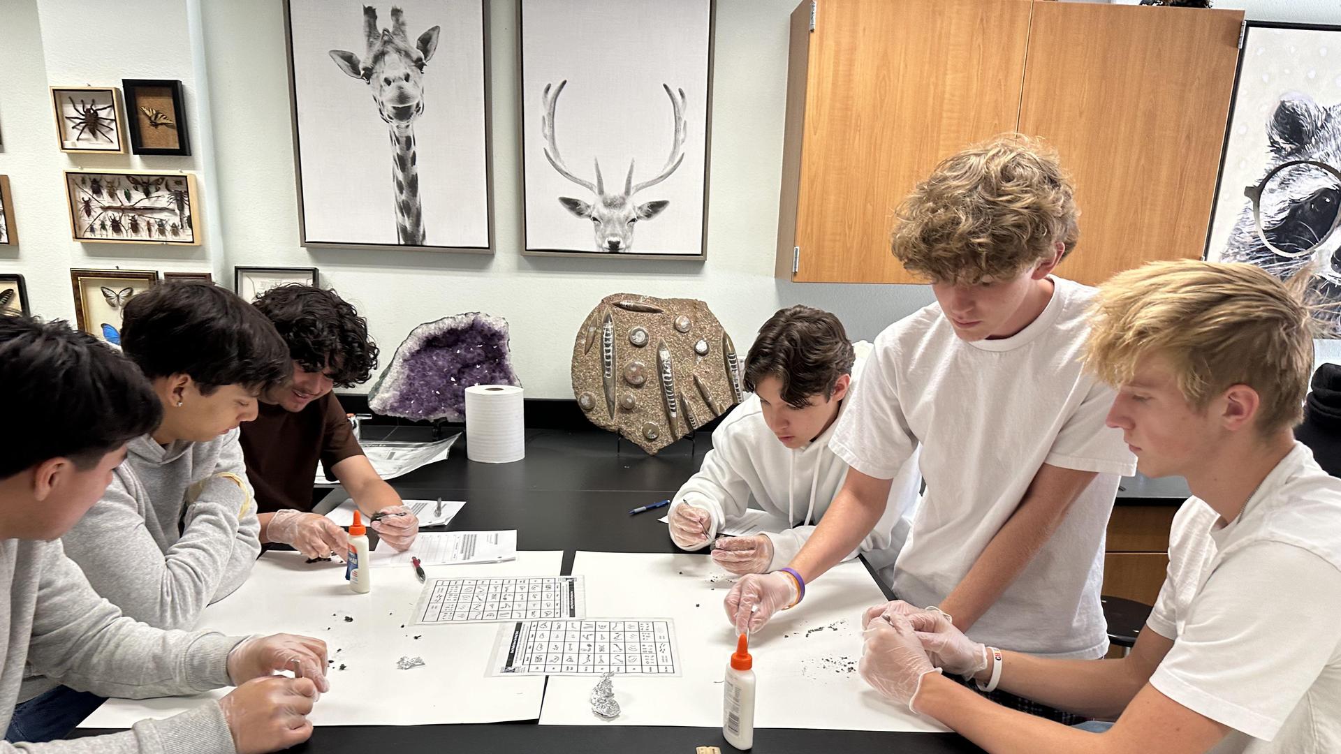 lab
