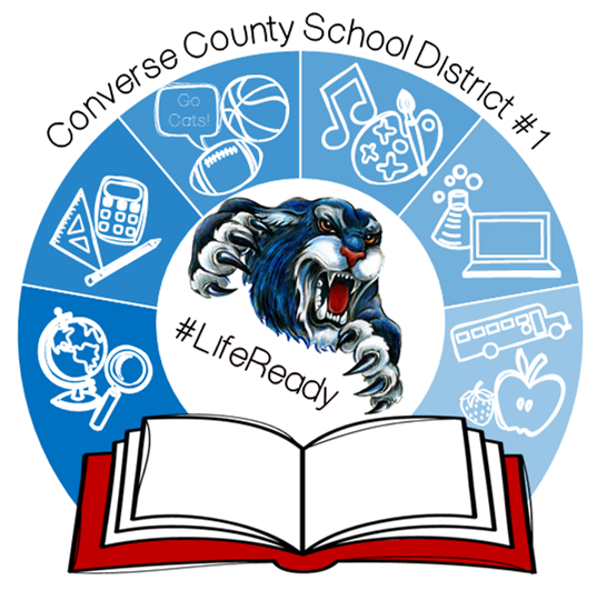 CCSD1 Logo