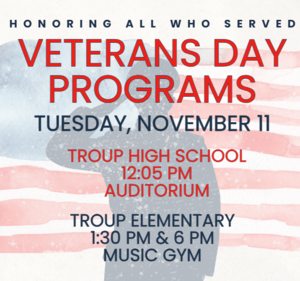 veterans day programs